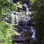 Amicalola Falls